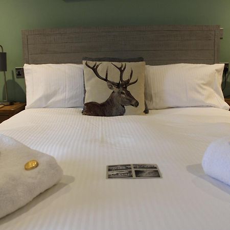 The White Lion Bed & Breakfast Ventnor Ngoại thất bức ảnh